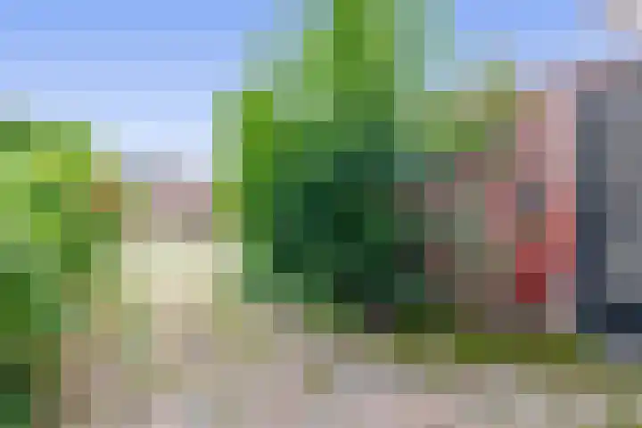 Heerenwal 60 Sloten thumbnail 33