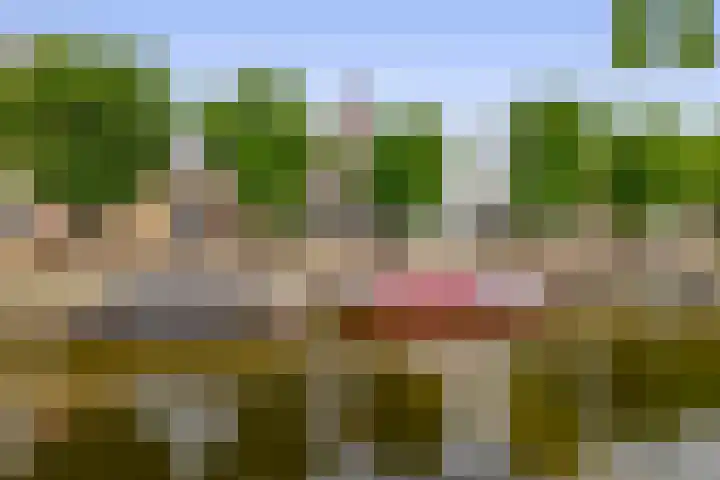 Heerenwal 60 Sloten thumbnail 35