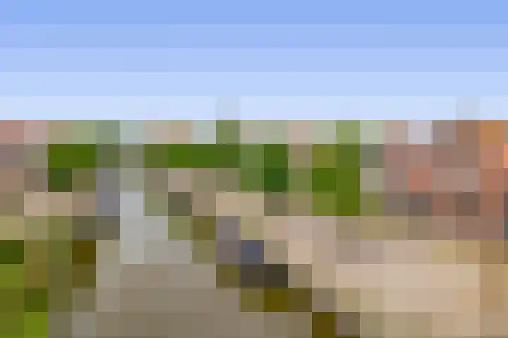 Heerenwal 60 Sloten thumbnail 36
