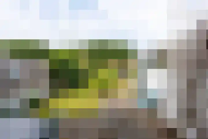Heerenweg 237 Heiloo thumbnail 32