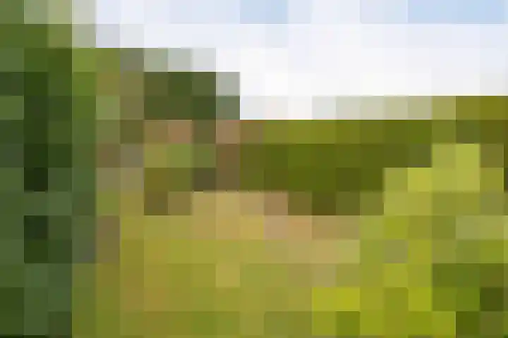Heerenweg 237 Heiloo thumbnail 34