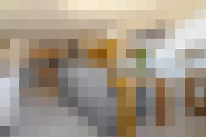 Heerestraat 158 Roden thumbnail 10