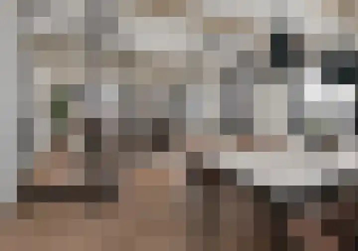 Heerestraat 17 Middelstum thumbnail 34