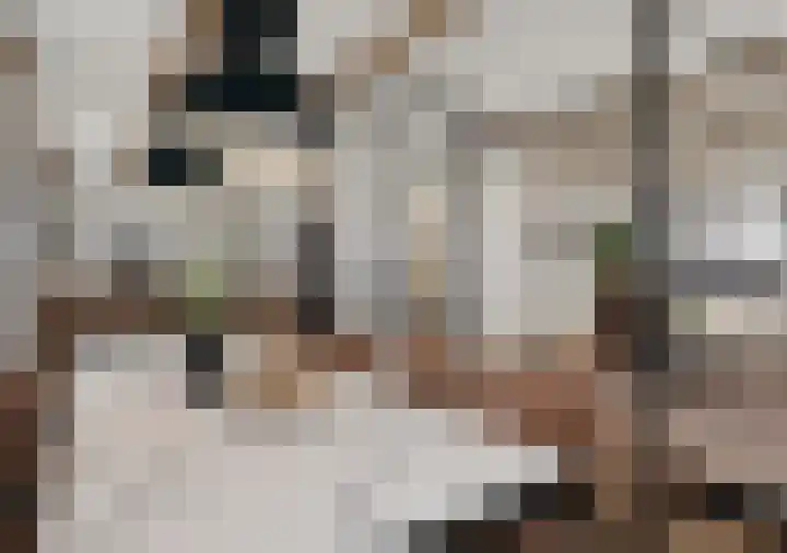 Heerestraat 17 Middelstum thumbnail 4
