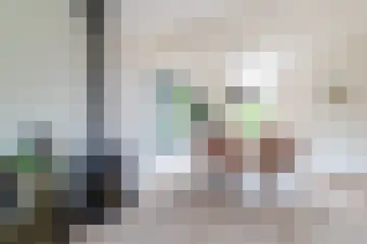 Heereweg 26 Aduard thumbnail 11