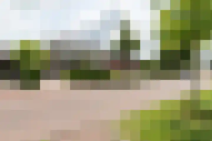 Heereweg 26 Aduard thumbnail 37