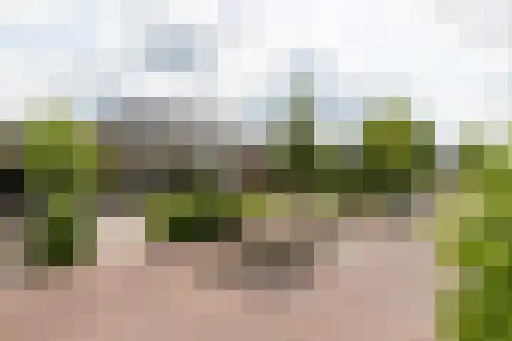 Heereweg 26 Aduard thumbnail 38