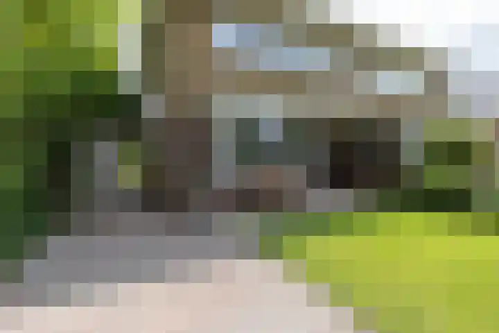 Heereweg 26 Aduard thumbnail 5