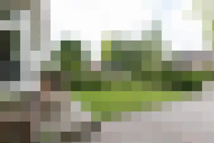 Heereweg 26 Aduard thumbnail 6