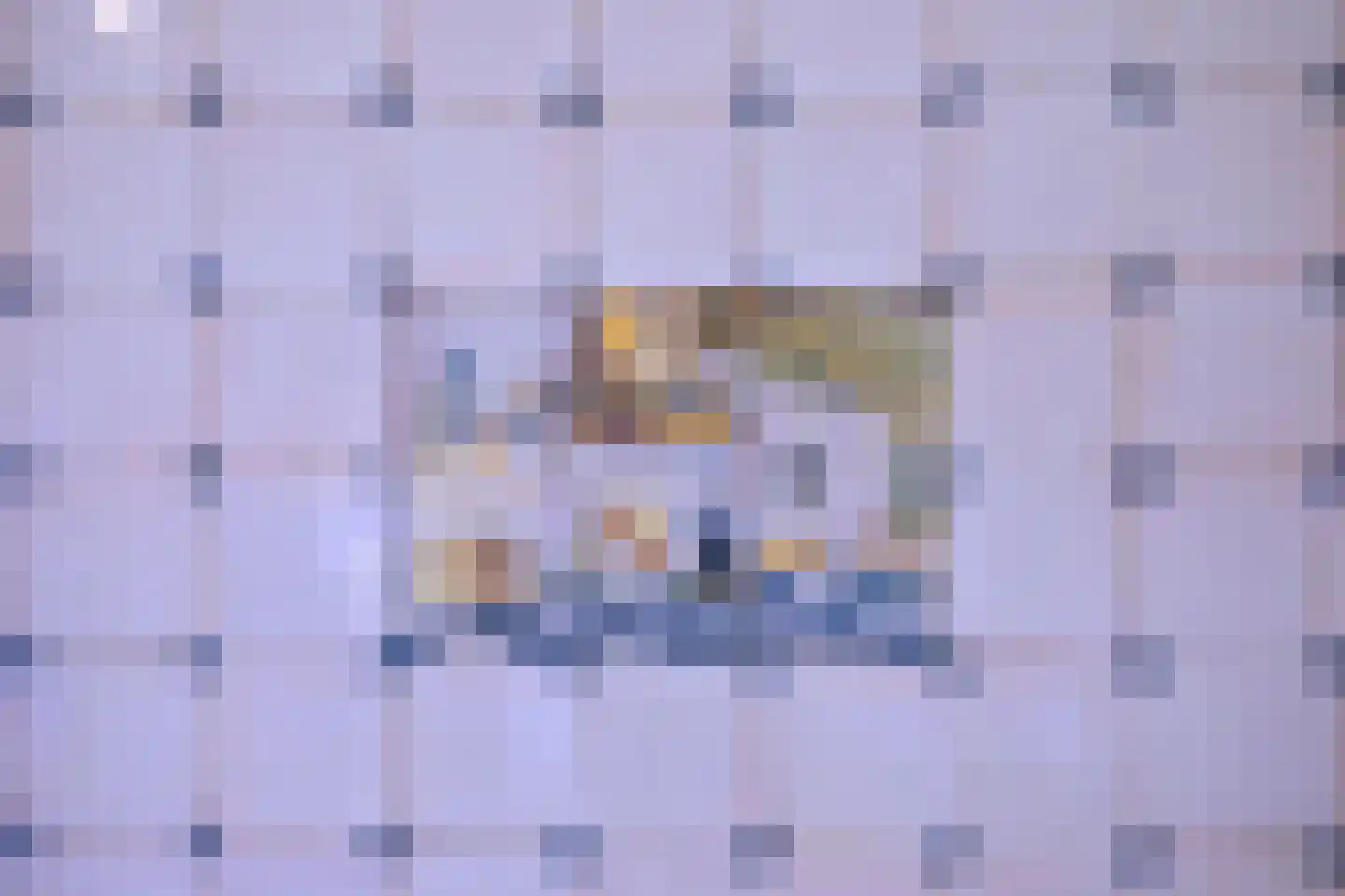 Heeringstraat 2 Wilp thumbnail 11