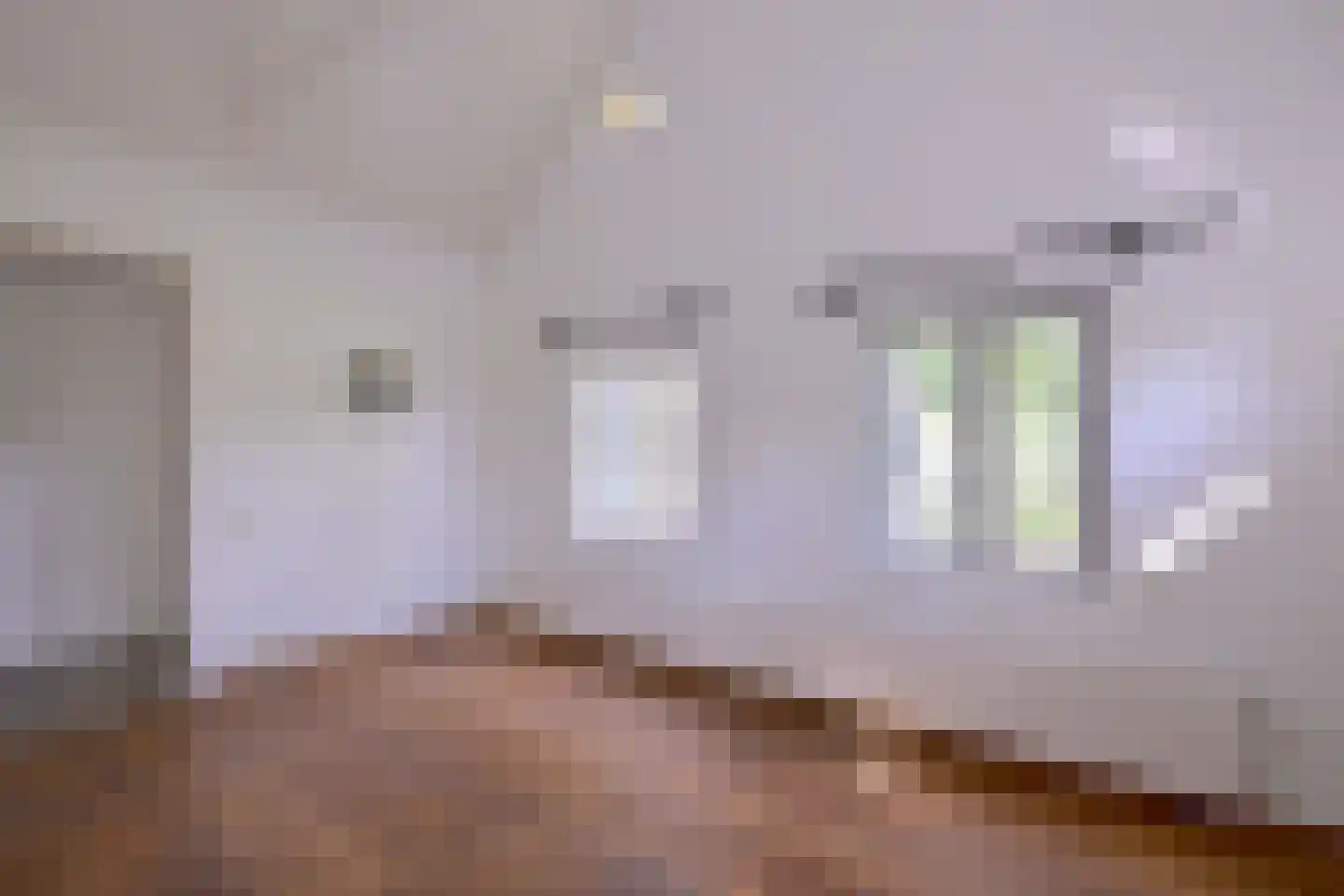 Heeringstraat 2 Wilp thumbnail 20