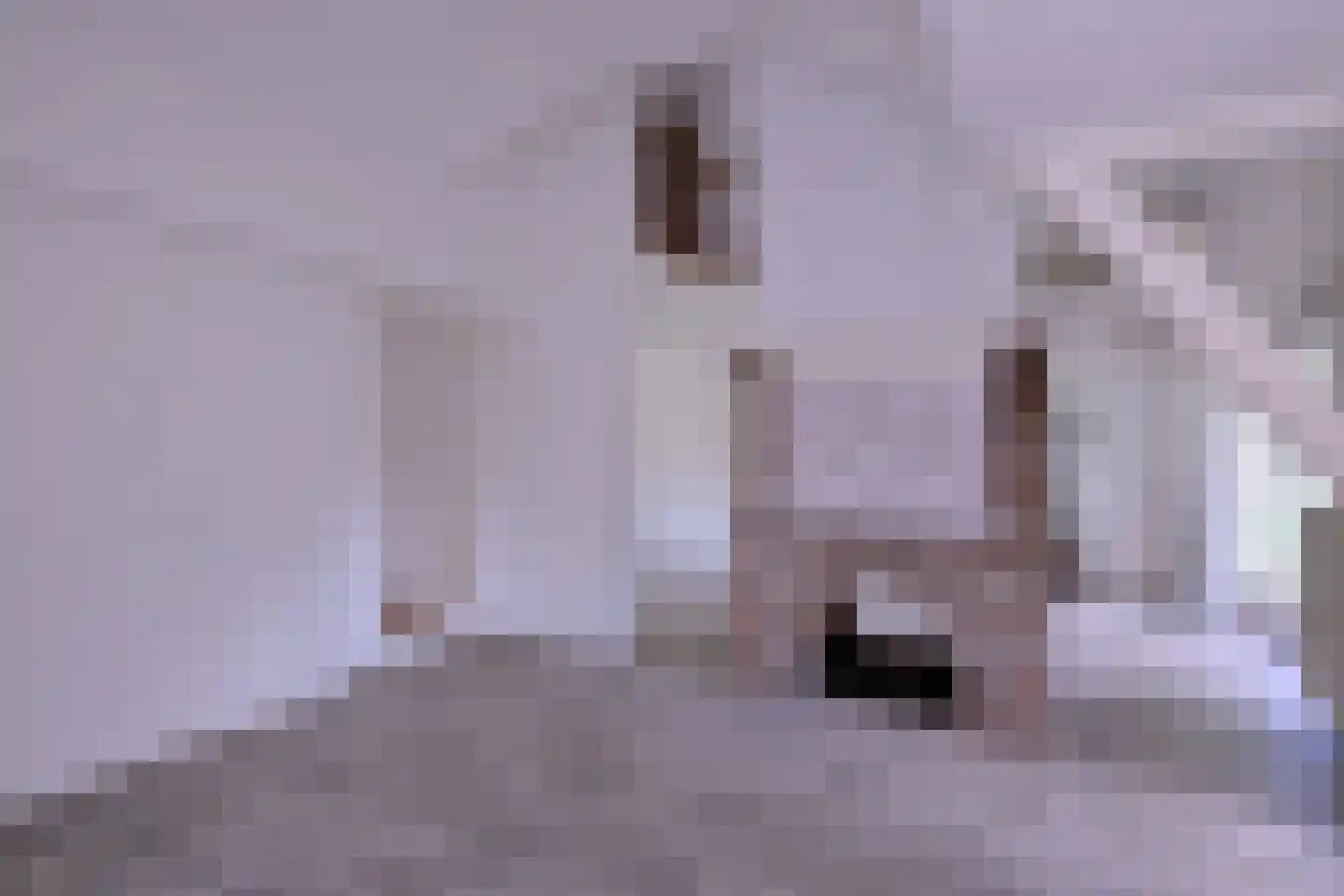 Heeringstraat 2 Wilp thumbnail 25