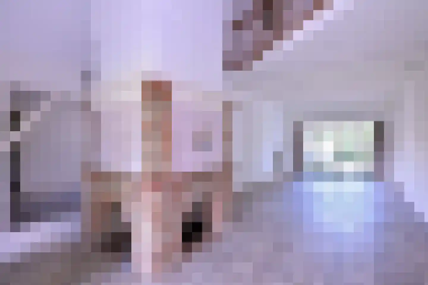 Heeringstraat 2 Wilp thumbnail 26