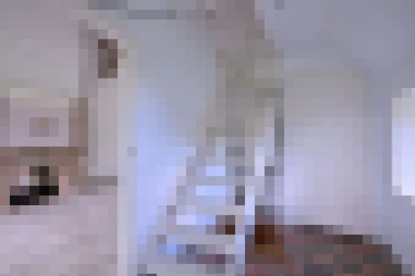 Heeringstraat 2 Wilp thumbnail 30