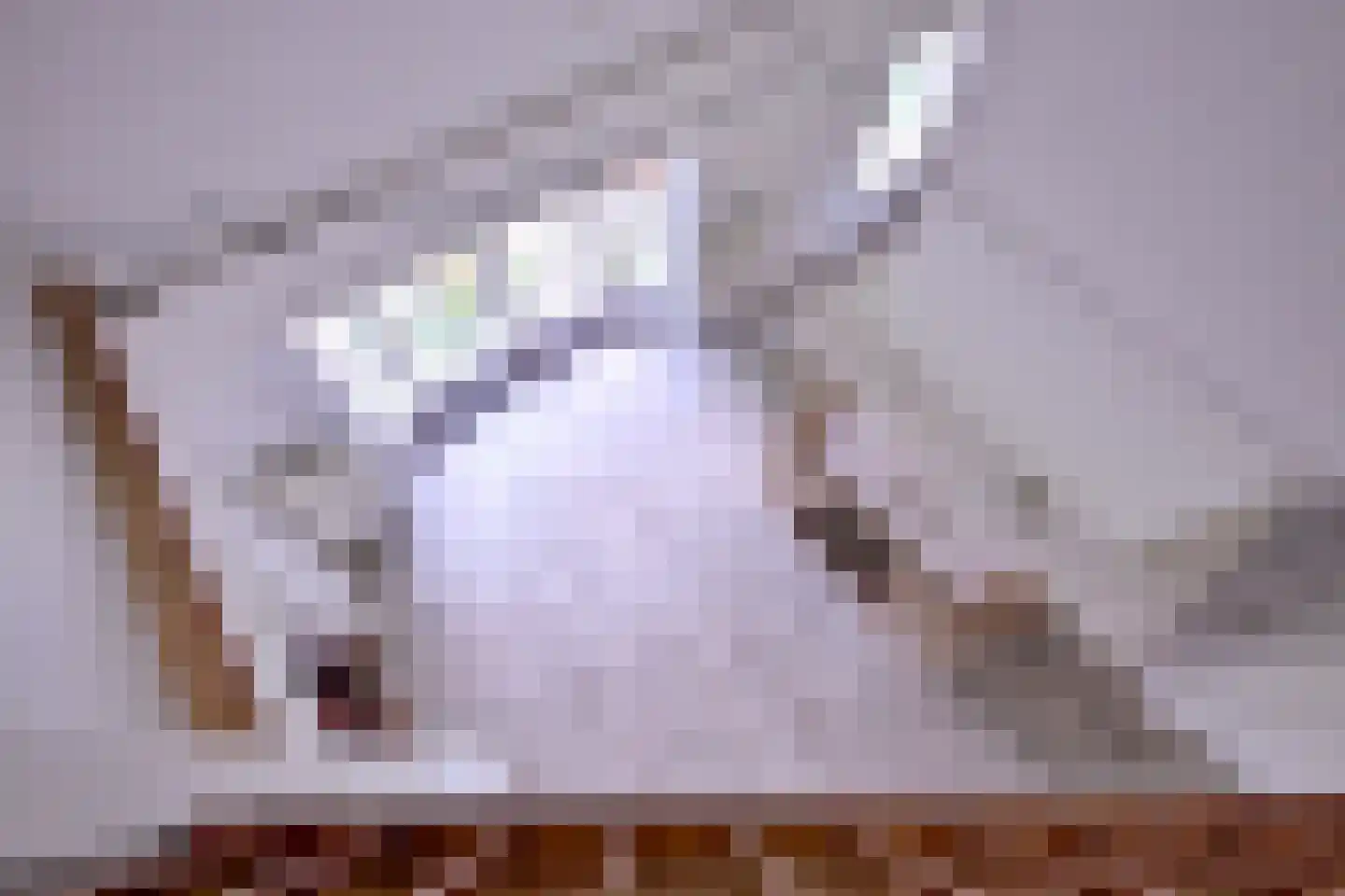 Heeringstraat 2 Wilp thumbnail 35