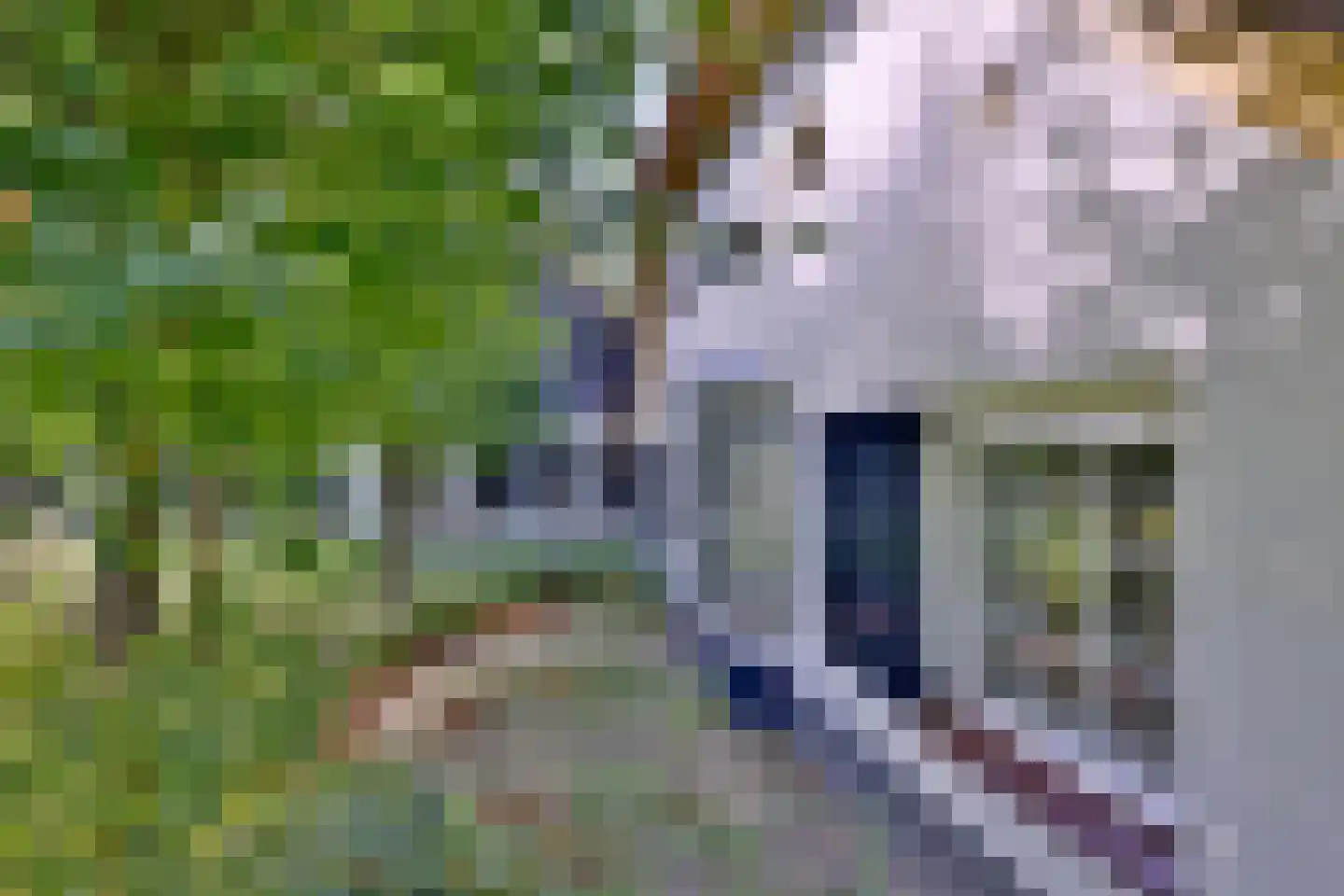 Heeringstraat 2 Wilp thumbnail 37