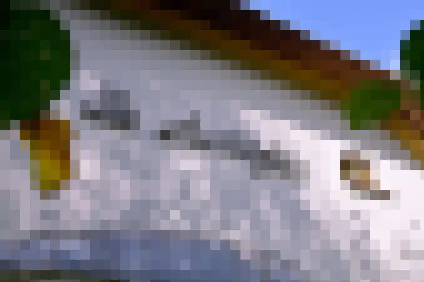 Heeringstraat 2 Wilp thumbnail 38