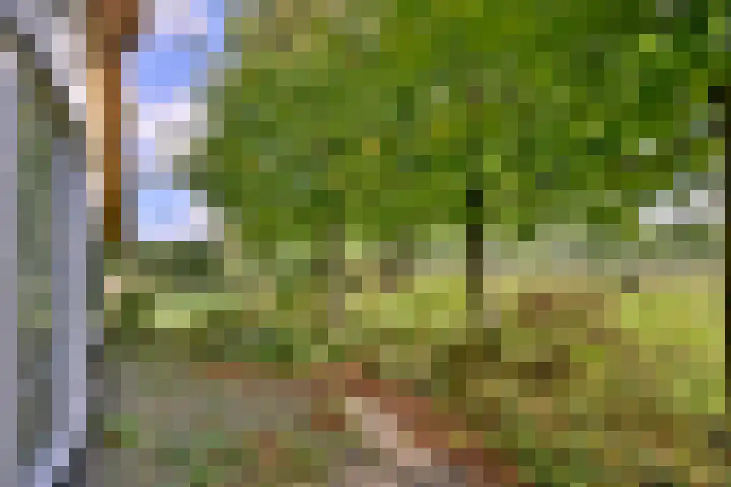 Heeringstraat 2 Wilp thumbnail 39