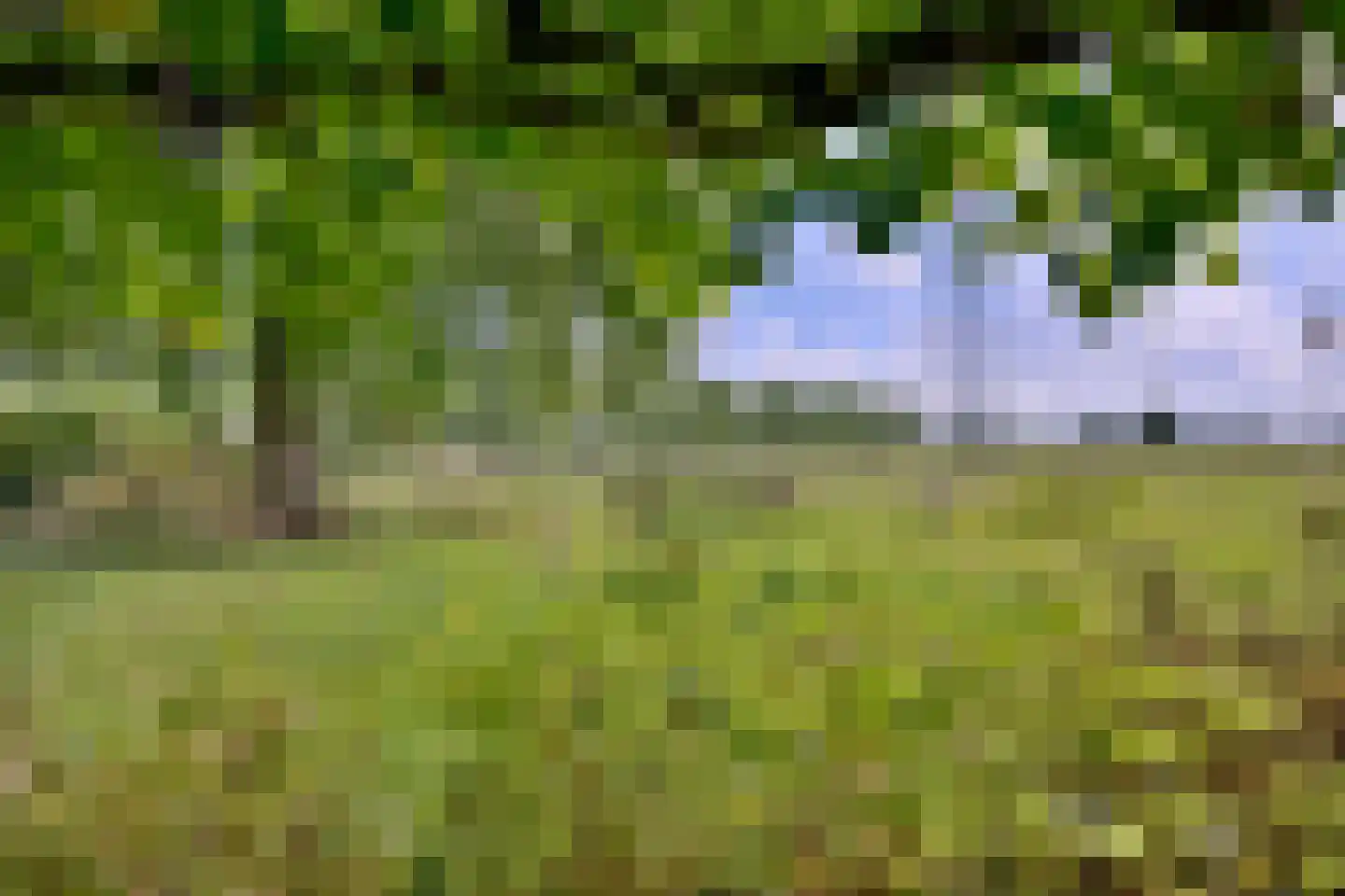 Heeringstraat 2 Wilp thumbnail 40