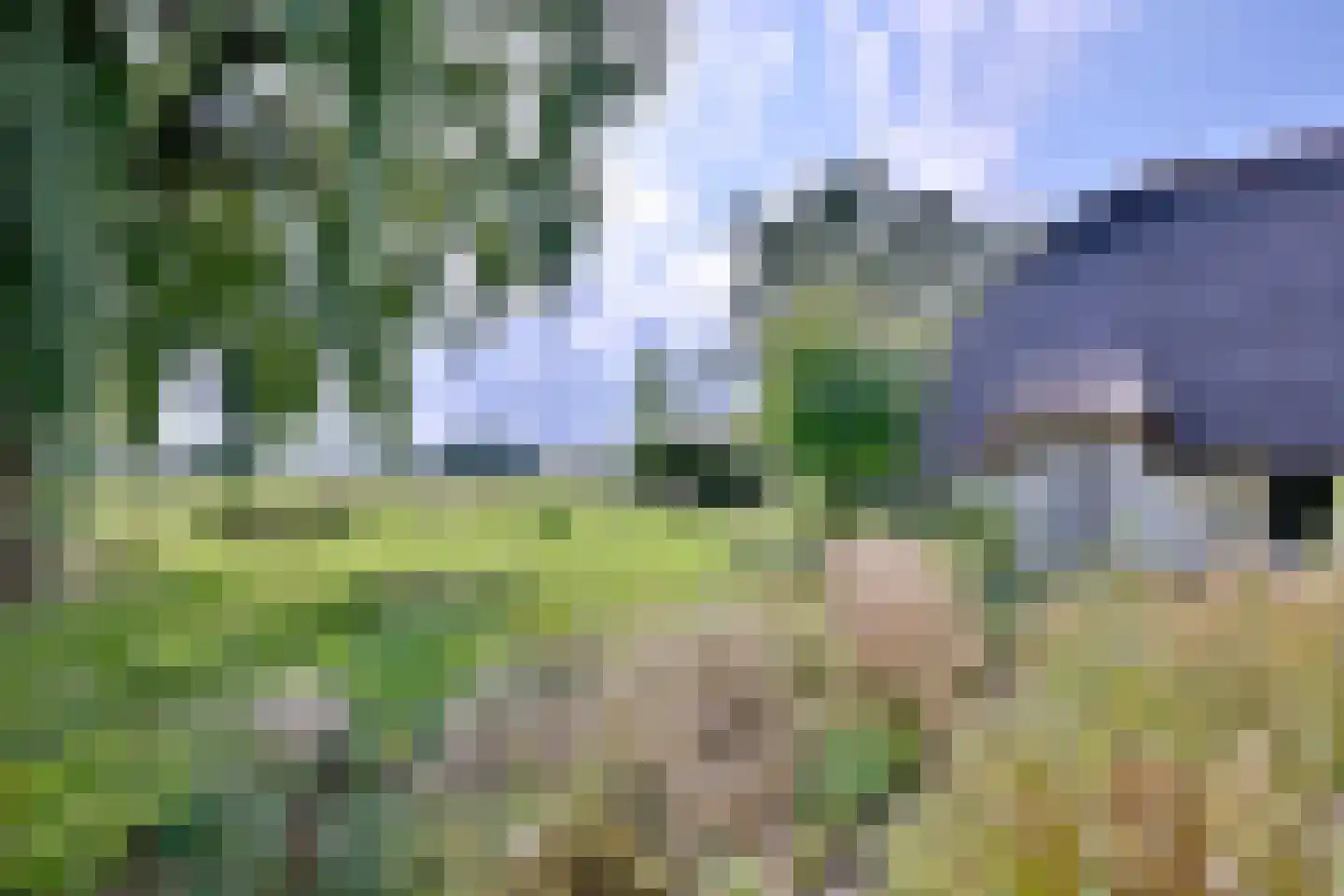 Heeringstraat 2 Wilp thumbnail 42