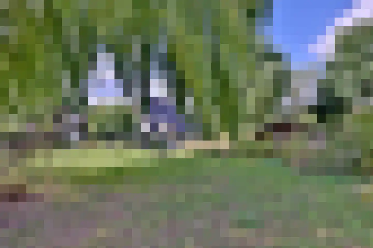 Heeringstraat 2 Wilp thumbnail 43