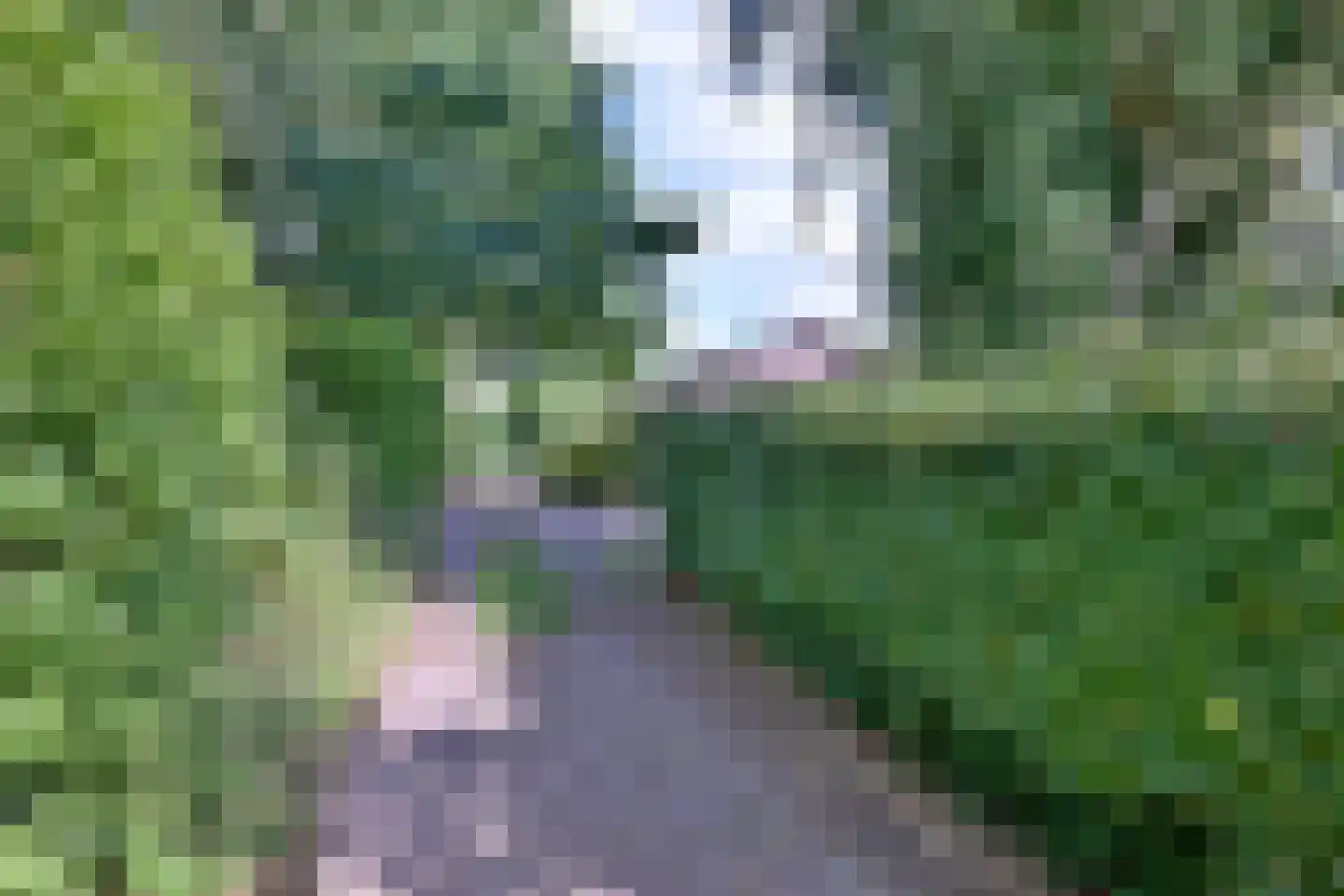 Heeringstraat 2 Wilp thumbnail 44