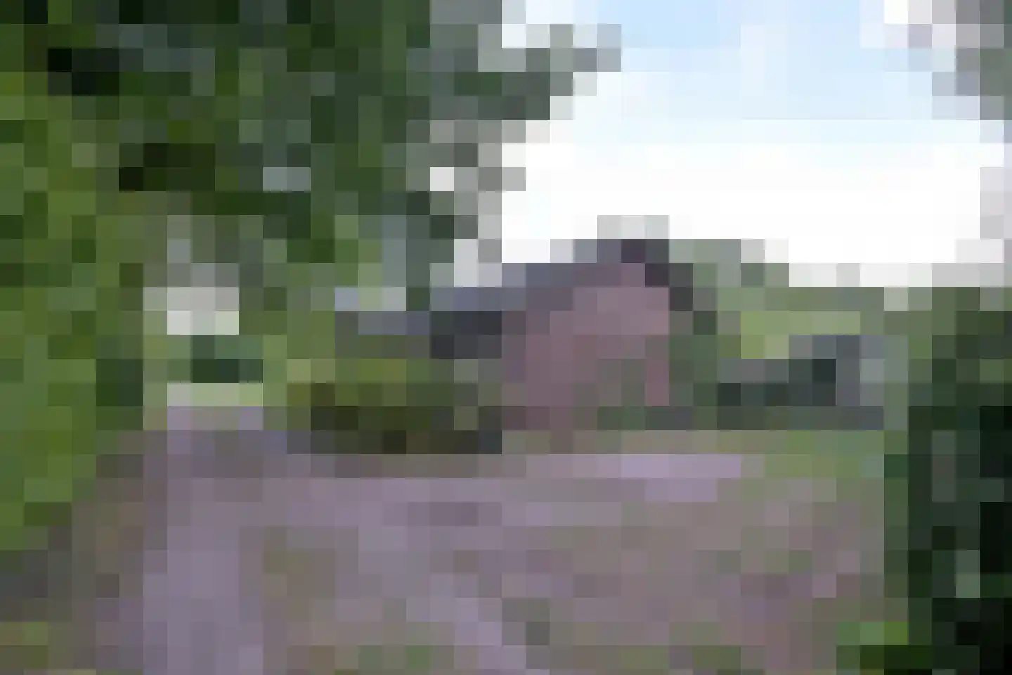 Heeringstraat 2 Wilp thumbnail 45