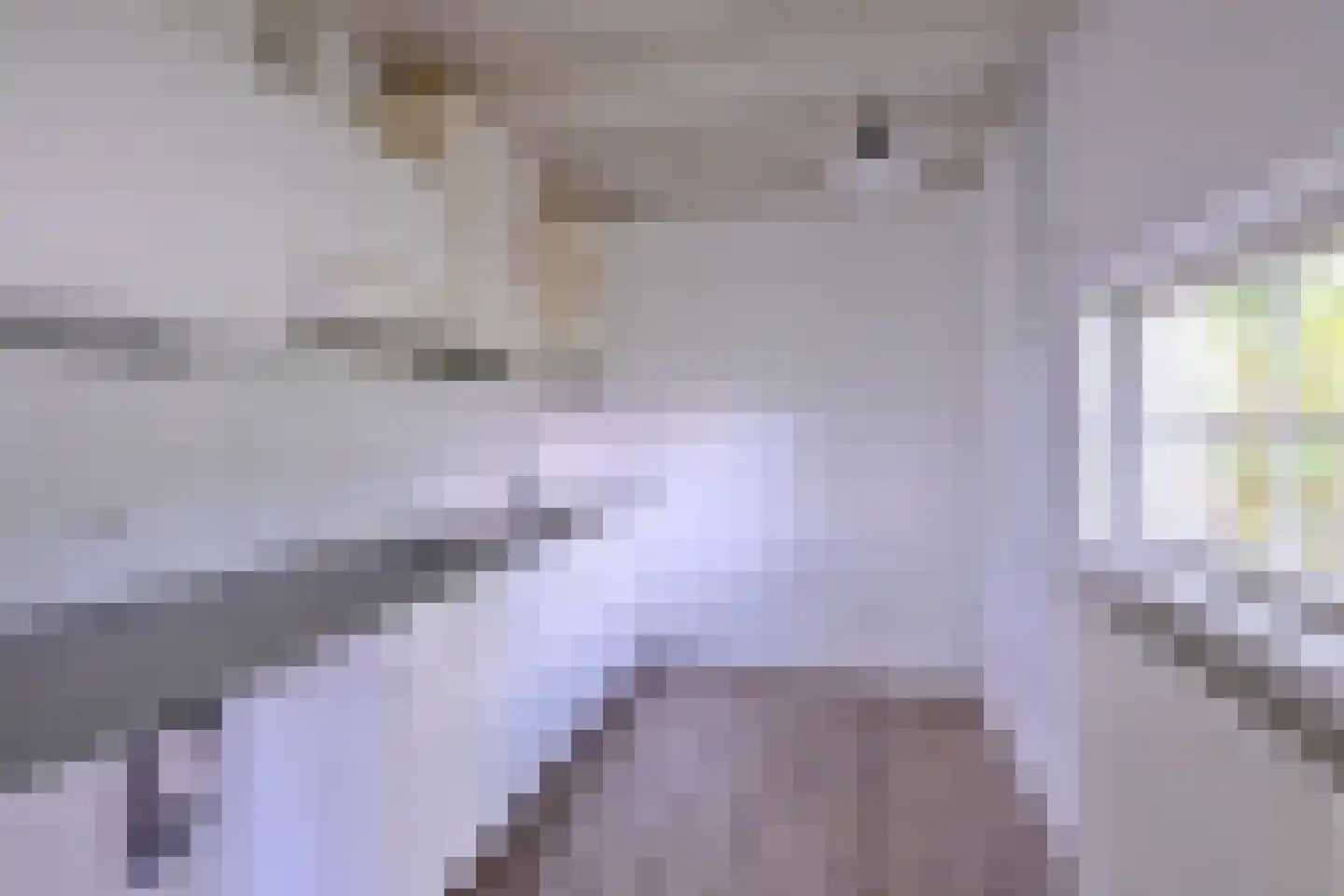 Heeringstraat 2 Wilp thumbnail 62