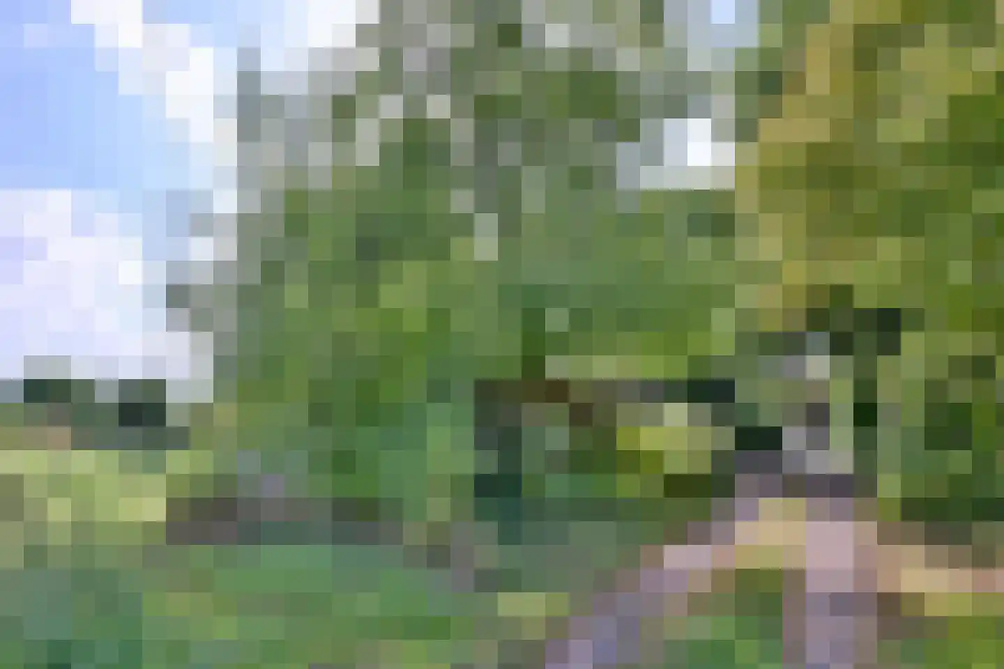 Heeringstraat 2 Wilp thumbnail 64