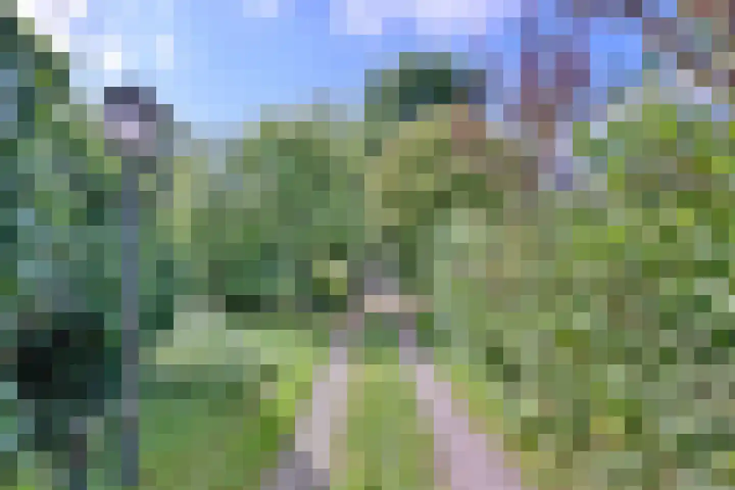 Heeringstraat 2 Wilp thumbnail 65