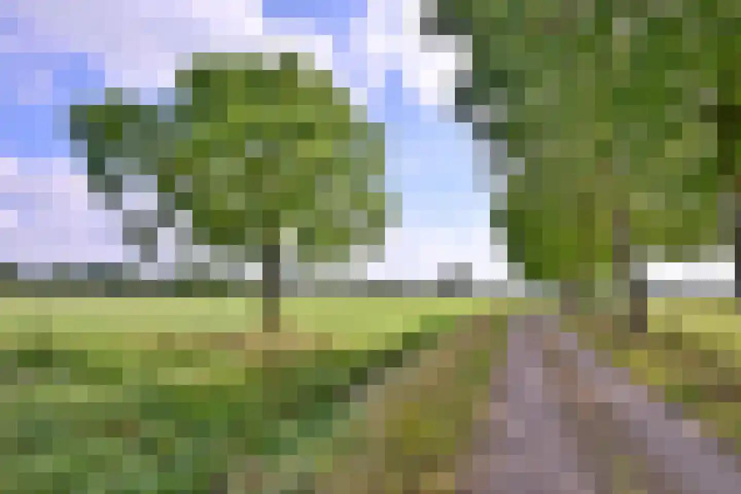 Heeringstraat 2 Wilp thumbnail 66