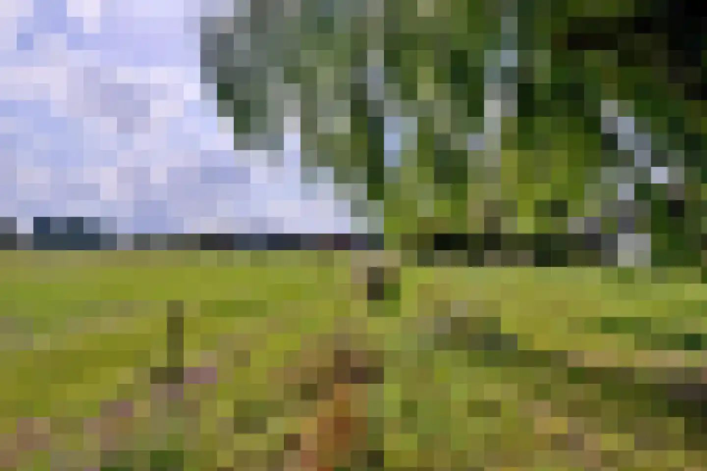 Heeringstraat 2 Wilp thumbnail 70
