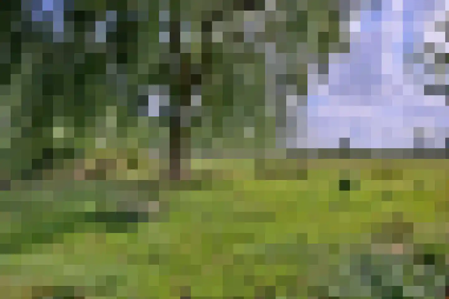 Heeringstraat 2 Wilp thumbnail 74