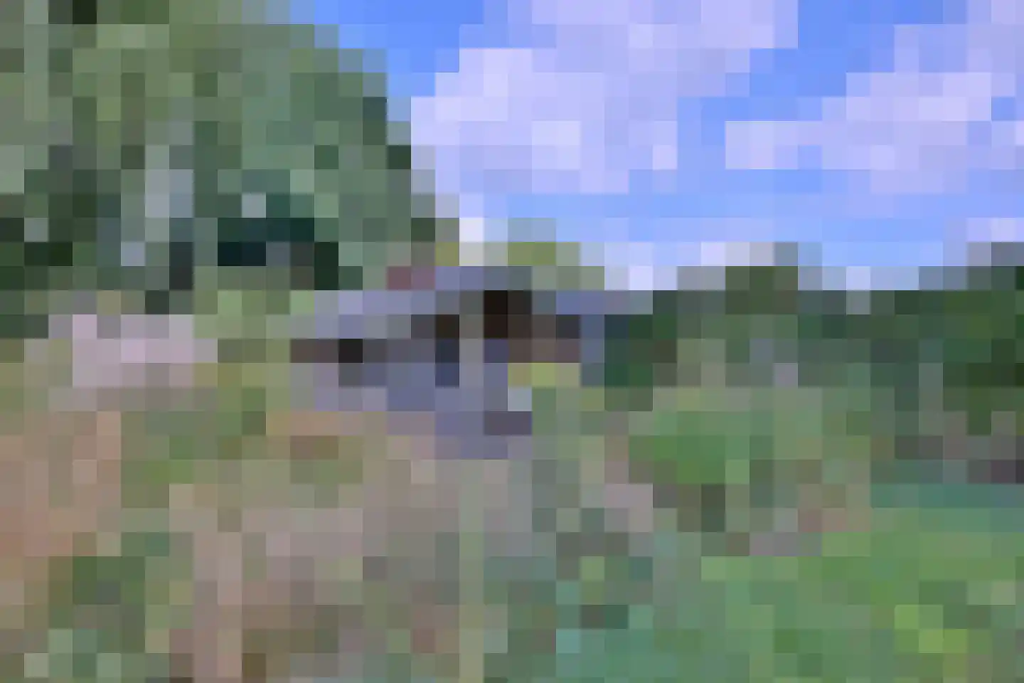 Heeringstraat 2 Wilp thumbnail 78