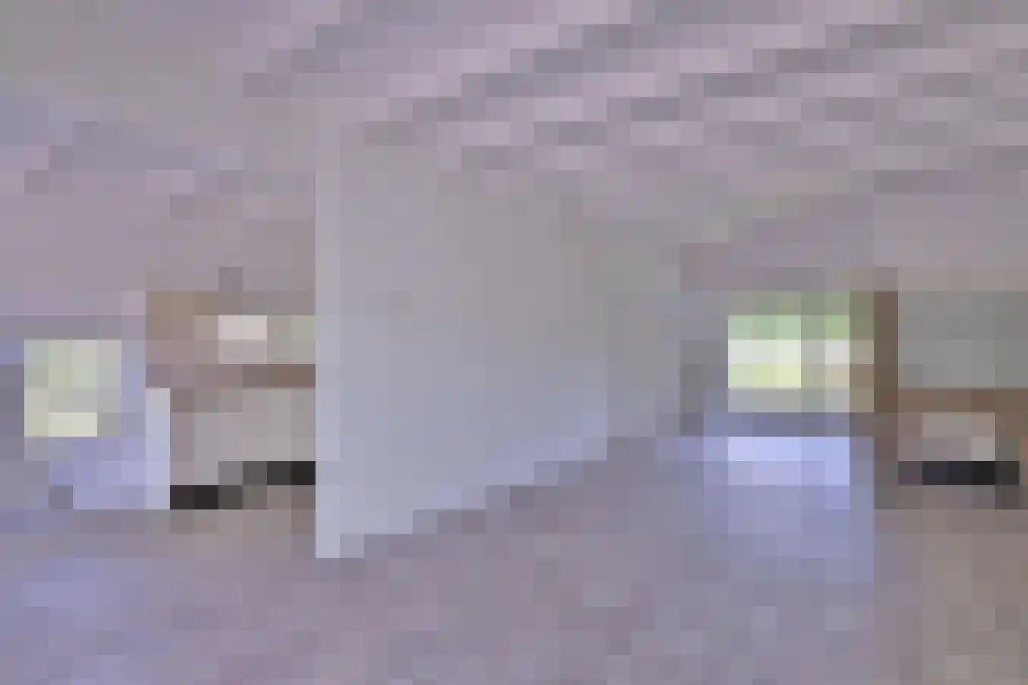 Heeringstraat 2 Wilp thumbnail 8