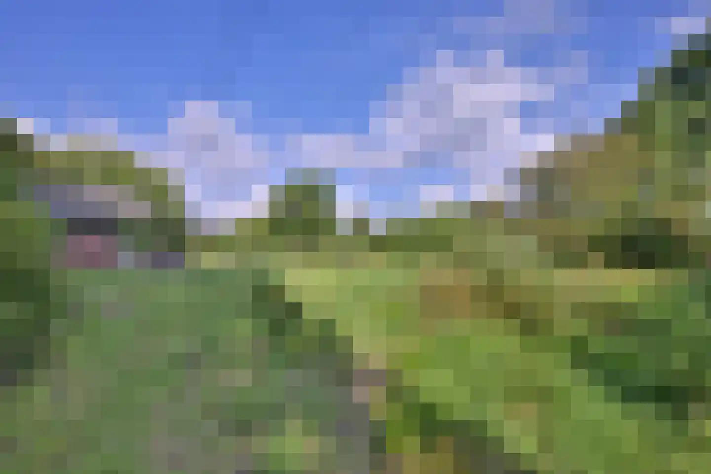 Heeringstraat 2 Wilp thumbnail 80
