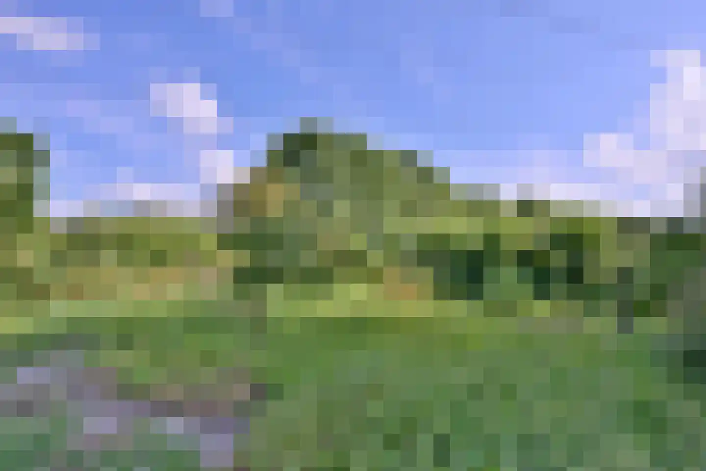 Heeringstraat 2 Wilp thumbnail 81