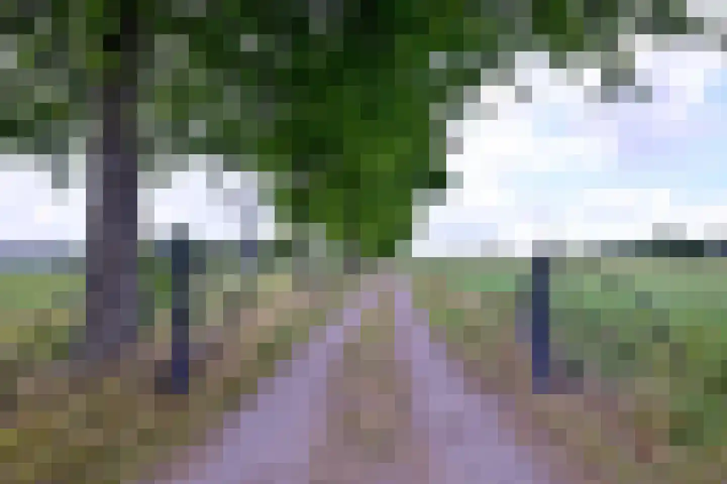 Heeringstraat 2 Wilp thumbnail 83