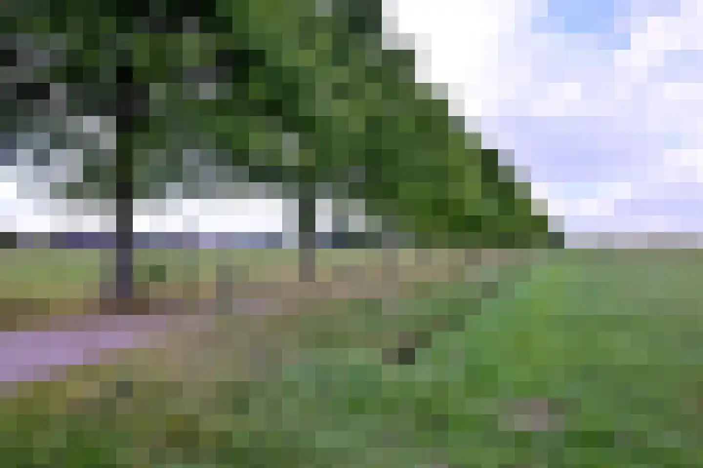 Heeringstraat 2 Wilp thumbnail 84