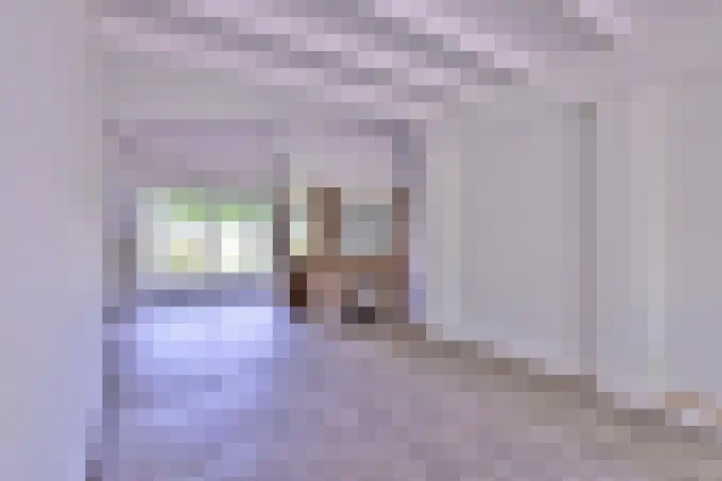 Heeringstraat 2 Wilp thumbnail 9