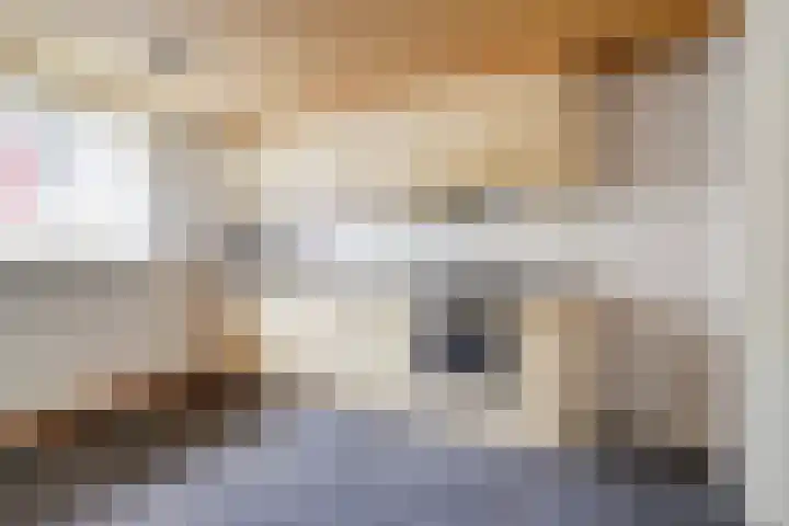 Heernisseweg 1 A Goes thumbnail 12