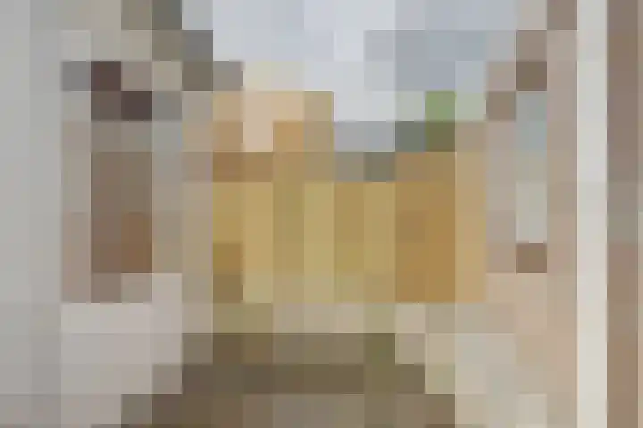 Heernisseweg 1 A Goes thumbnail 20