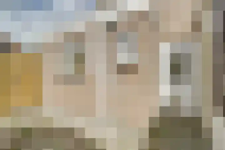 Heernisseweg 1 A Goes thumbnail 21