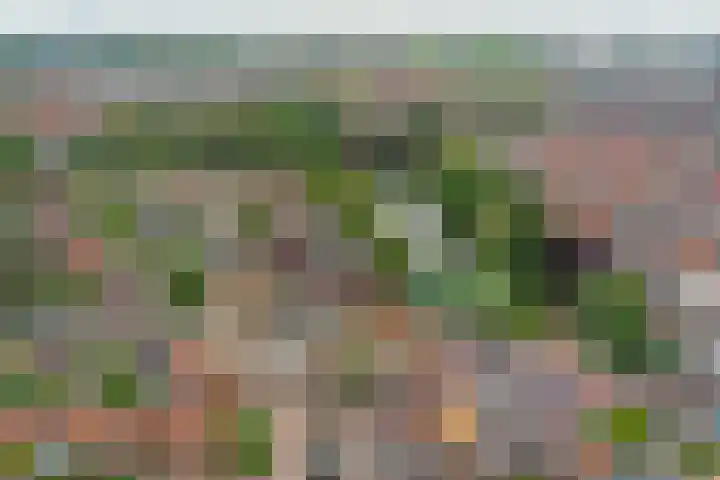Heernisseweg 1 A Goes thumbnail 25