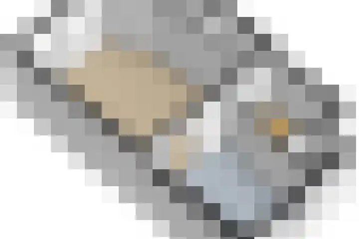 Heernisseweg 1 A Goes thumbnail 32