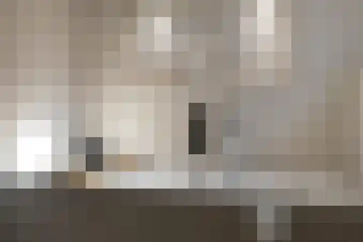 Heernisseweg 142 Goes thumbnail 19