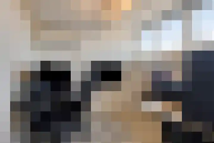 Heernisseweg 142 Goes thumbnail 21