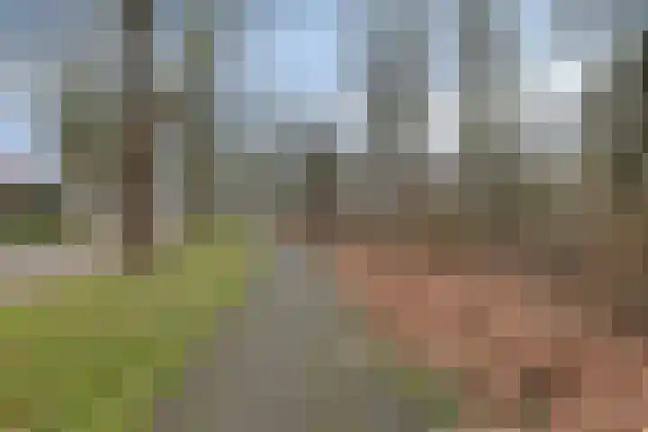 Heernisseweg 142 Goes thumbnail 26