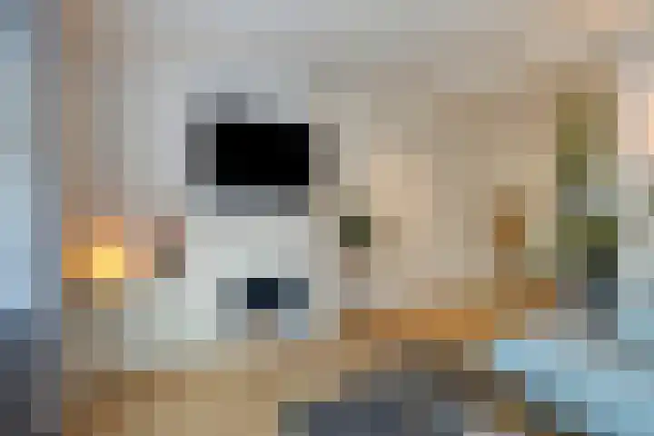 Heernisseweg 142 Goes thumbnail 7