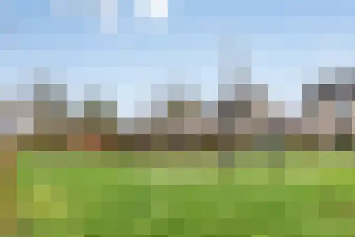 Heernisseweg 80 Goes thumbnail 45
